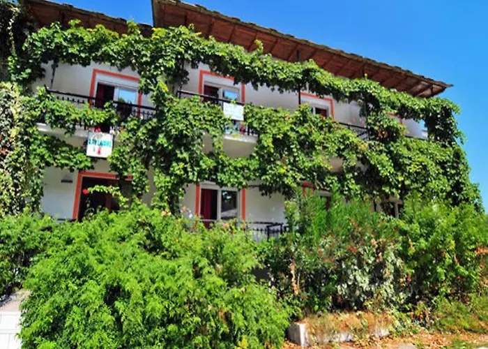 Ktima Chryssafis * 克里斯阿穆迪亚