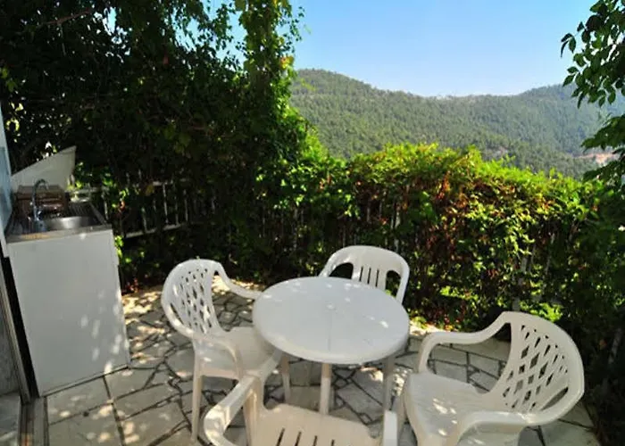 Ktima Chryssafis * 克里斯阿穆迪亚